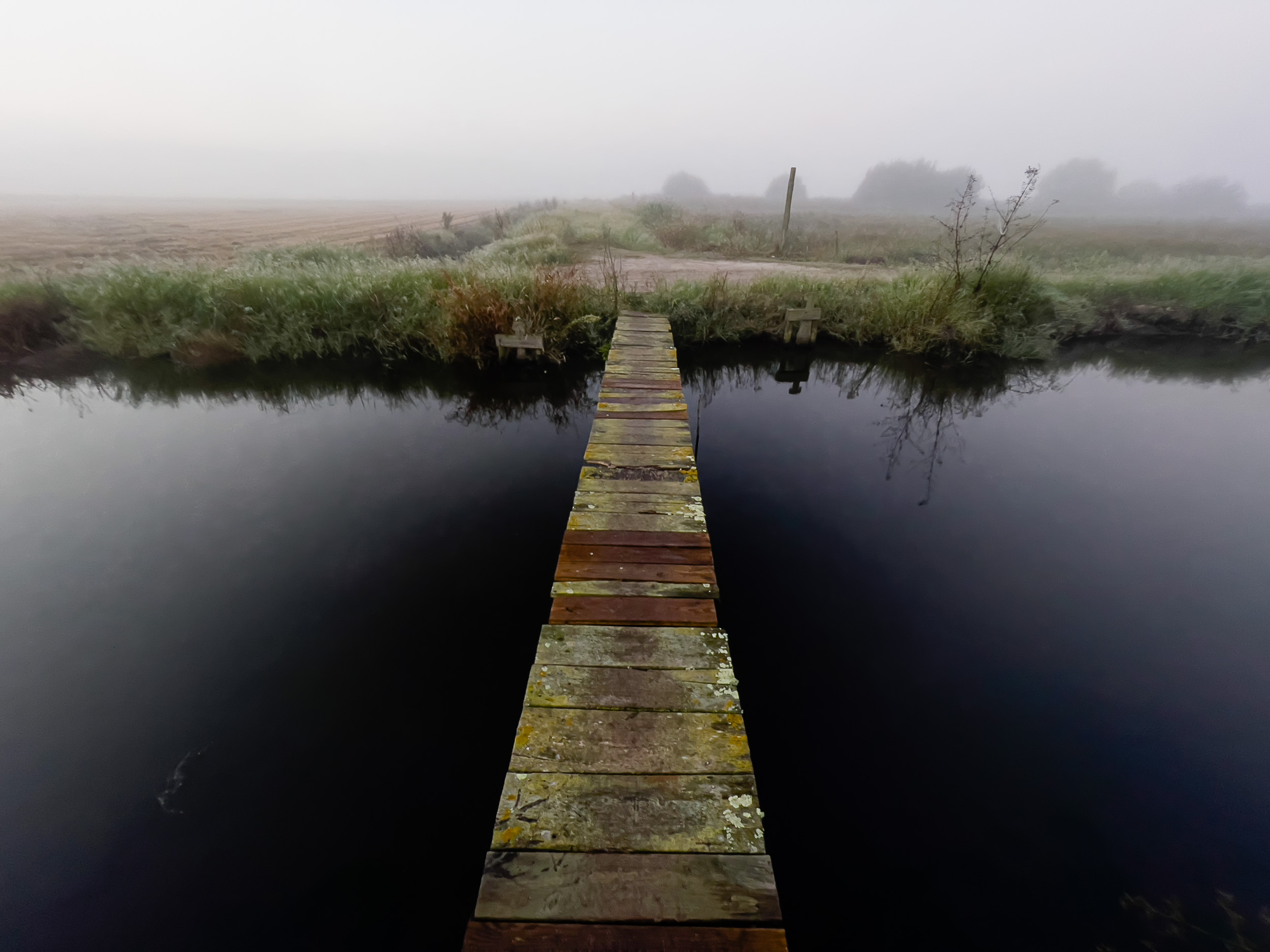 Background Morning Mist