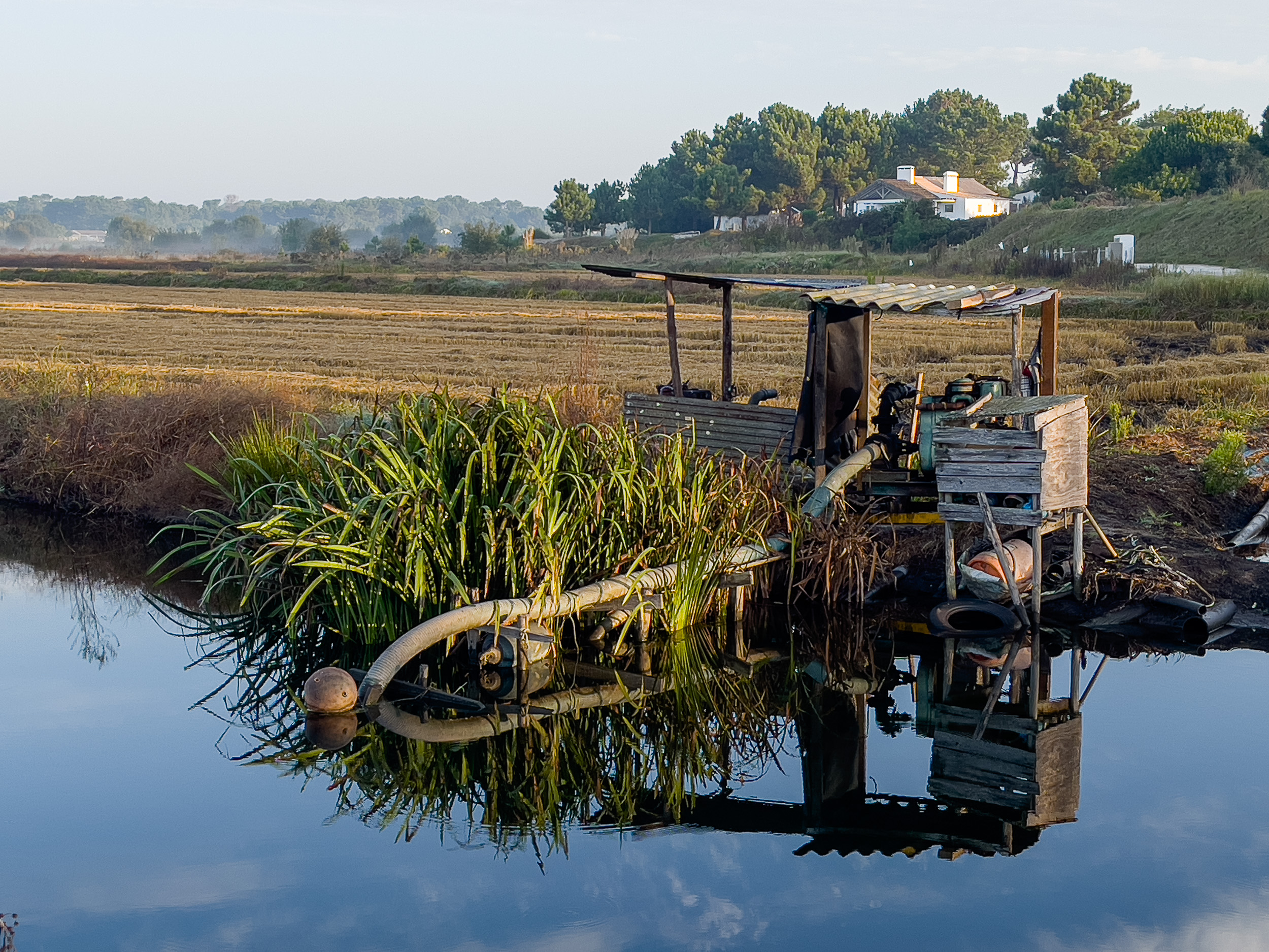 Eine Wasserpumpstation in einem Kanal inmitten der Reisfelder.