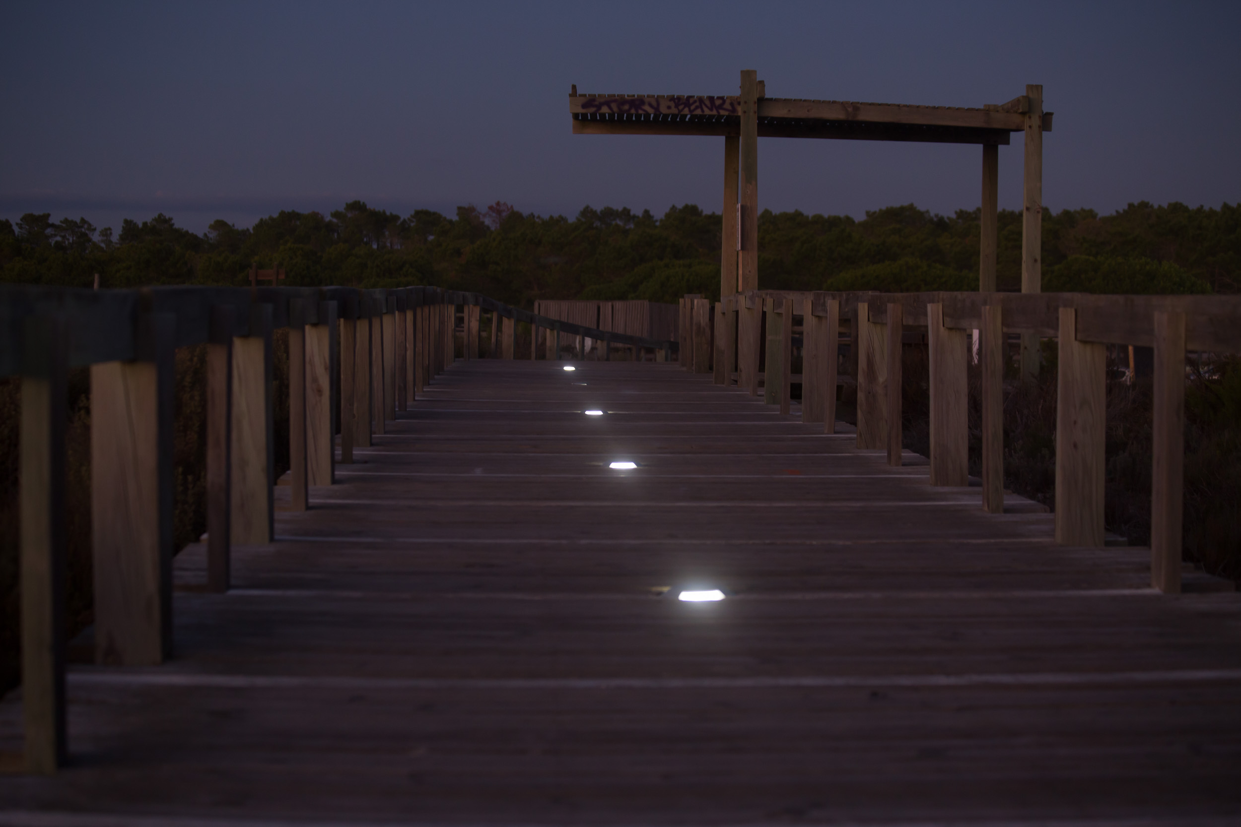 Un ponton droit en bois avec de petites lumières au sol mène vers la pinède dans l'obscurité du soir.