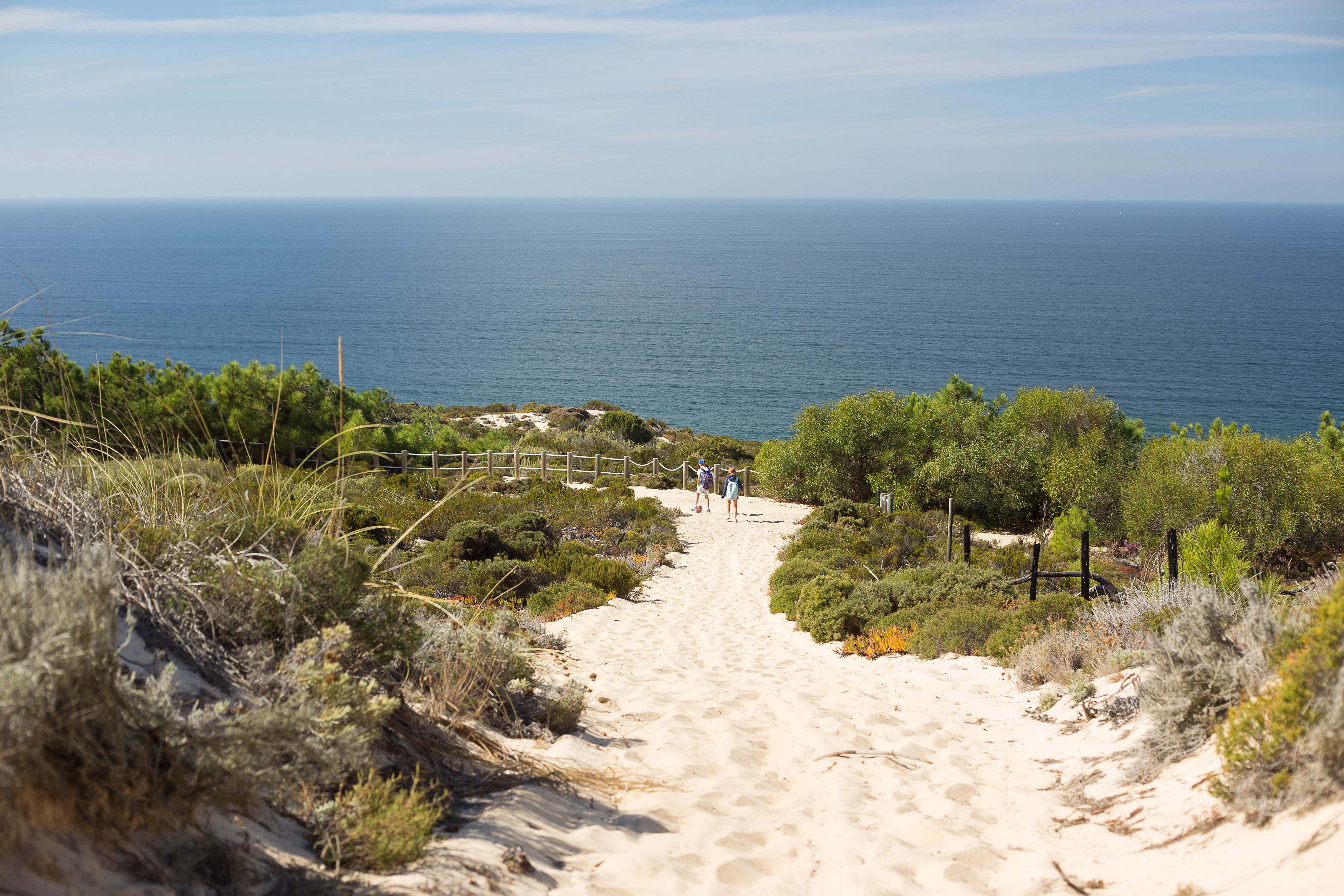 Un chemin sablonneux serpente à travers des dunes vertes en direction de la mer.