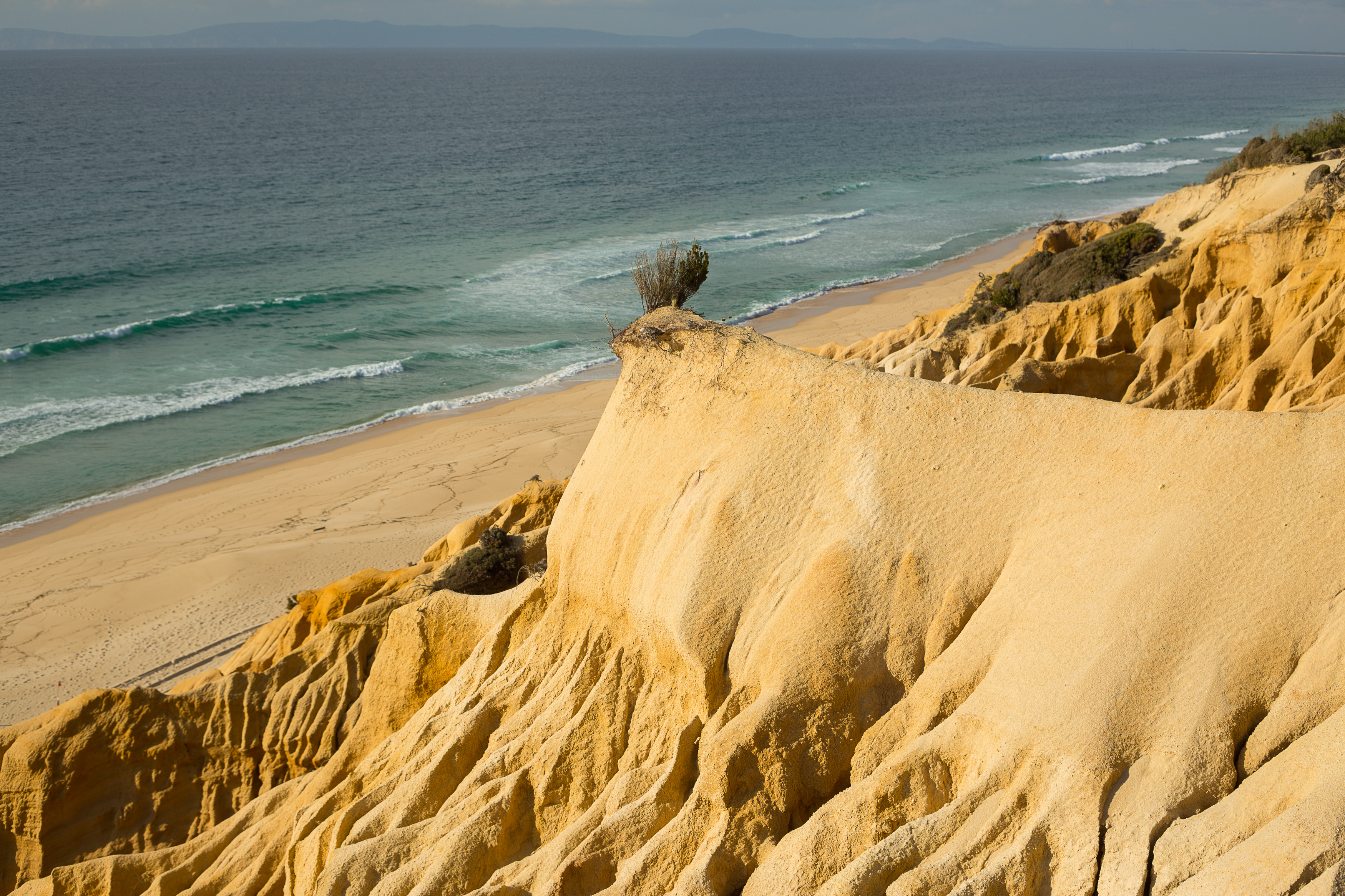 Vue depuis le bord de la falaise sur les falaises fossiles abruptes et stratifiées et l'Atlantique bleu en arrière-plan.