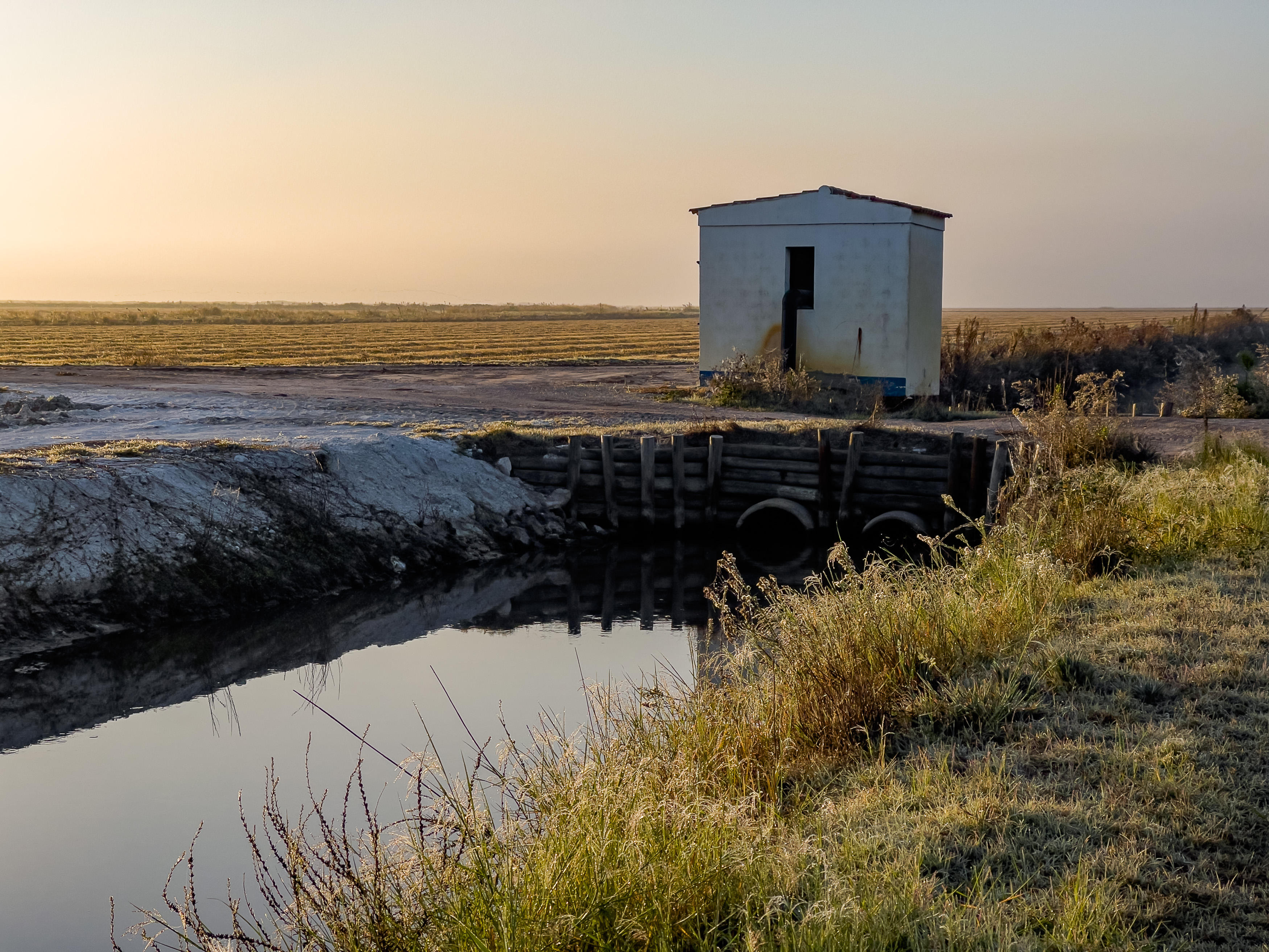 Ein weies Pumpenhaus an einem schmalen Wasserkanal in den Reisfeldern bei Sonnenaufgang.